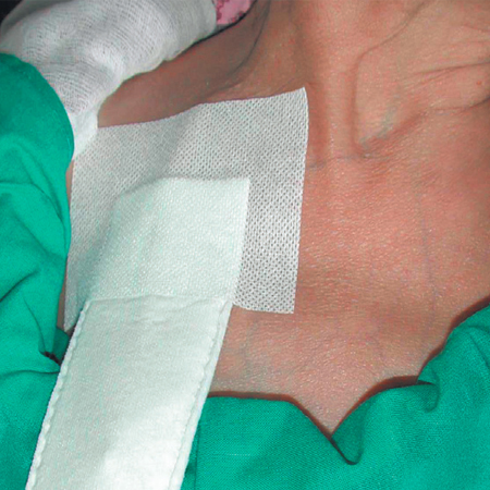 Oper Cat - شرکت رهپویان اندیشه دنیز